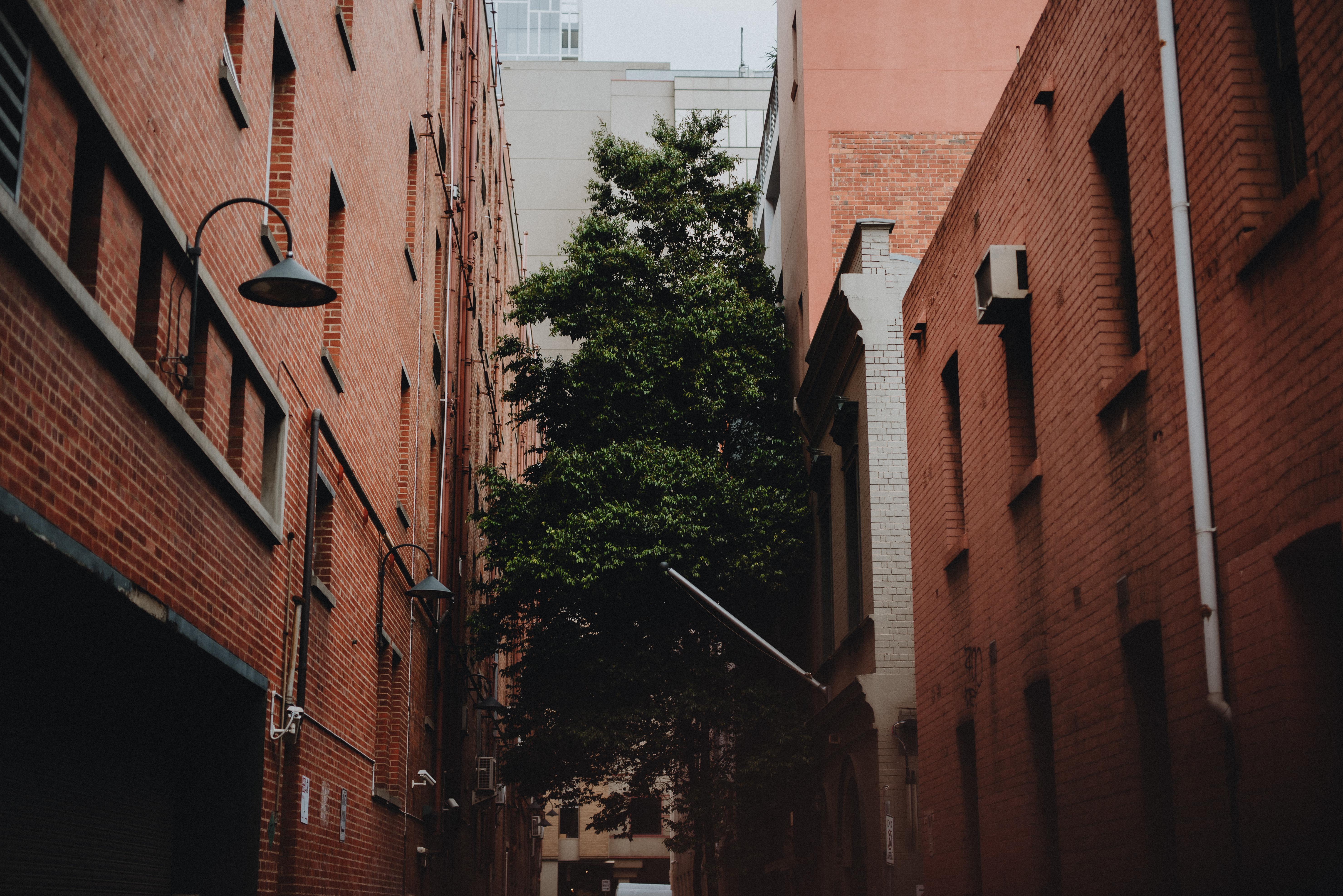 Lancemore Crossley St. Мелбърн Екстериор снимка The alleyway of the building